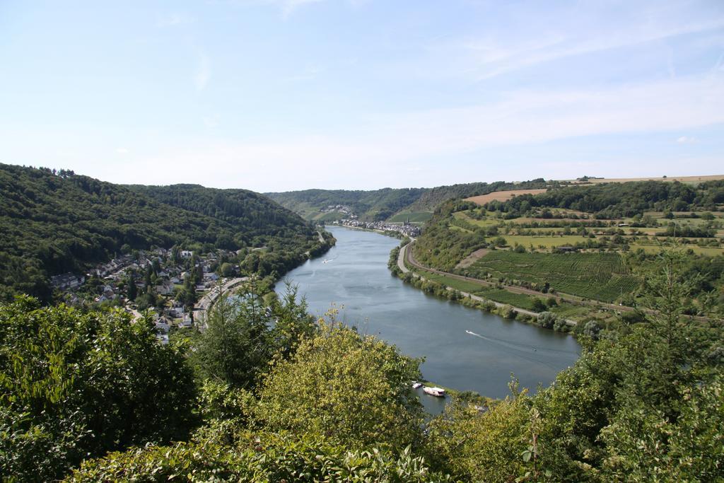 Ferienwohnungen Im Moseltal Löf Exterior foto