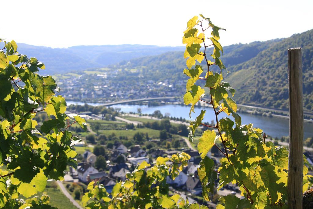 Ferienwohnungen Im Moseltal Löf Exterior foto